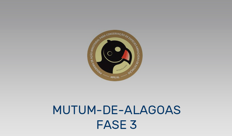 Projeto – Mutum-de-Alagoas | Fase 3