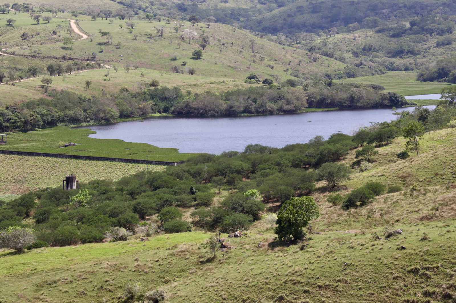 WhatsApp Image 2023-10-05 at 10.18.11