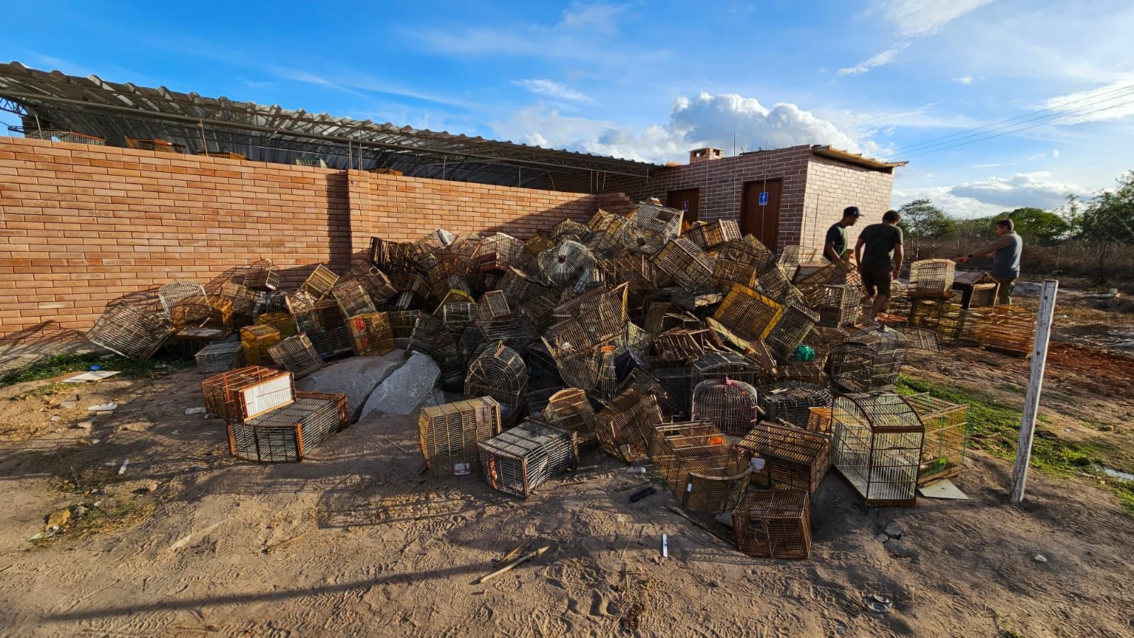 WhatsApp Image 2023-12-11 at 13.50.32 (1)