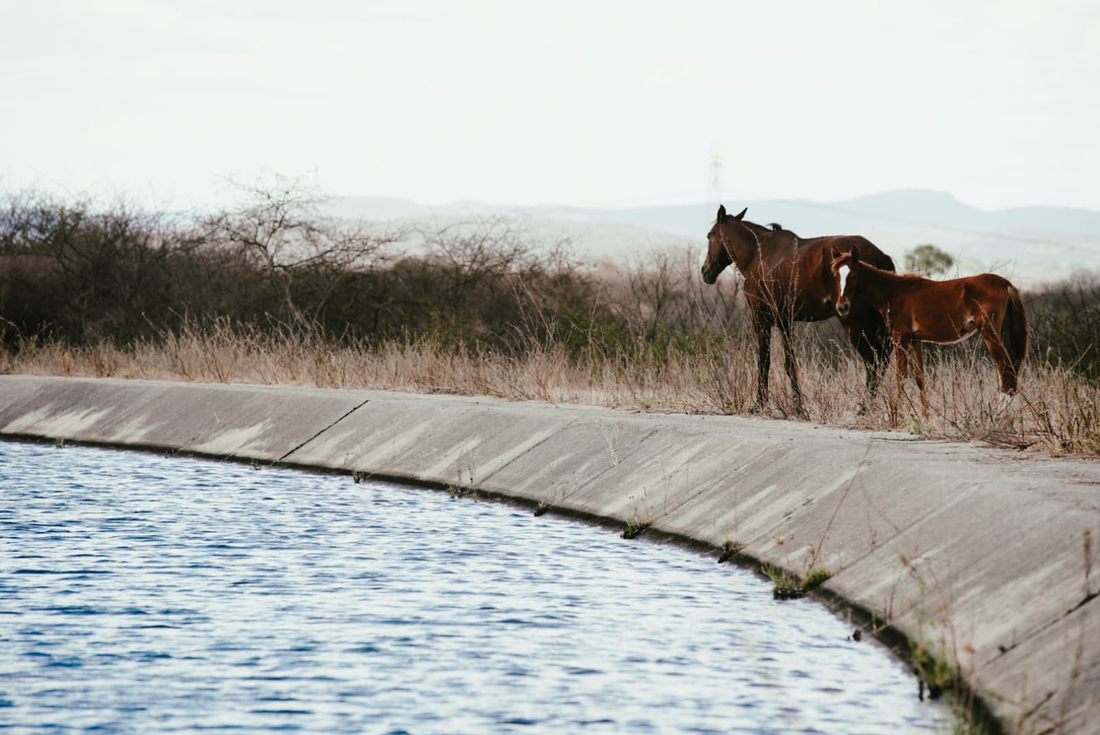 WhatsApp Image 2023-12-11 at 13.50.37 (1)