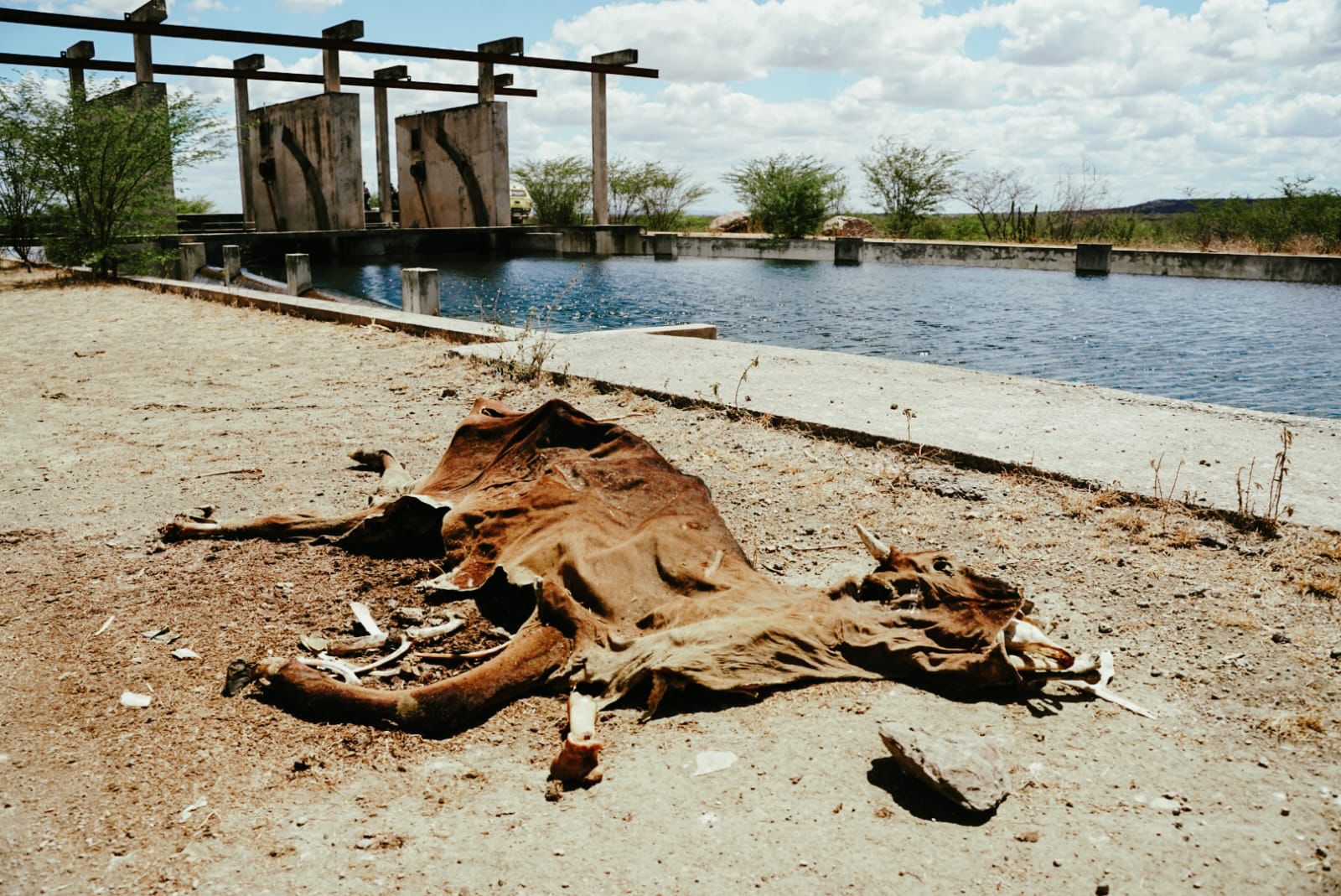 WhatsApp Image 2023-12-11 at 13.50.41