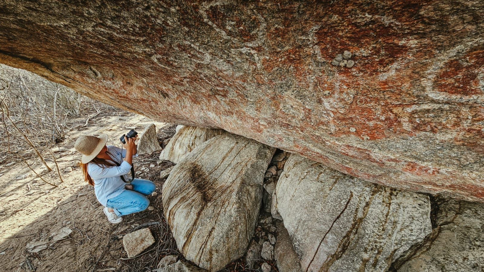 WhatsApp Image 2023-12-11 at 13.50.42