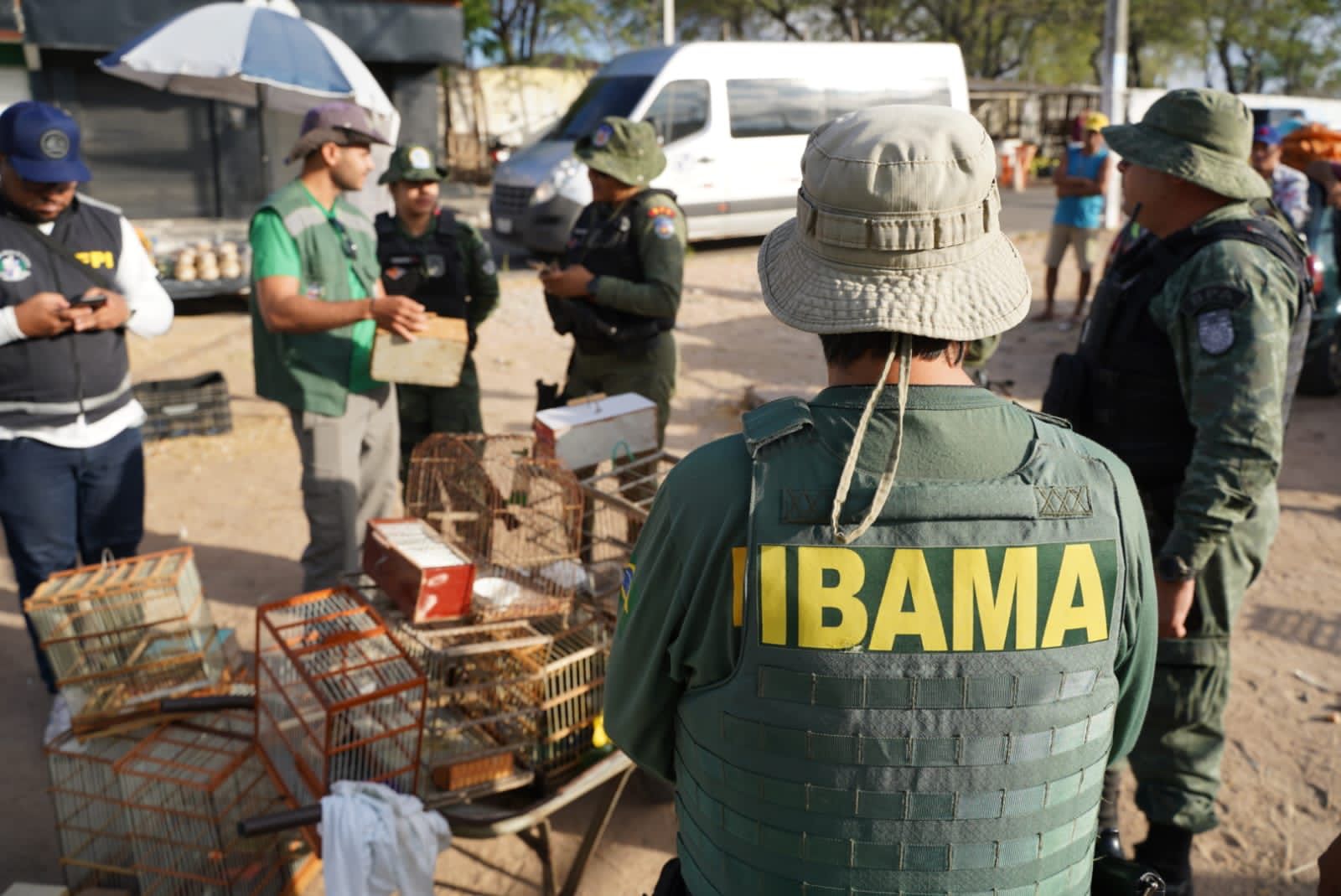 WhatsApp Image 2023-12-11 at 13.50.44 (1)