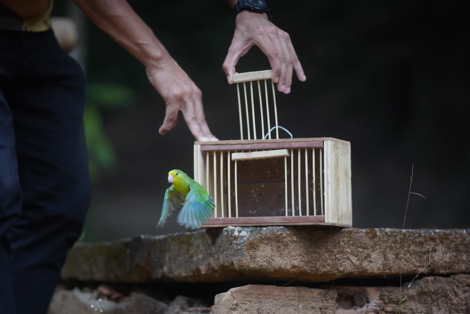 WhatsApp Image 2023-12-11 at 13.50.44