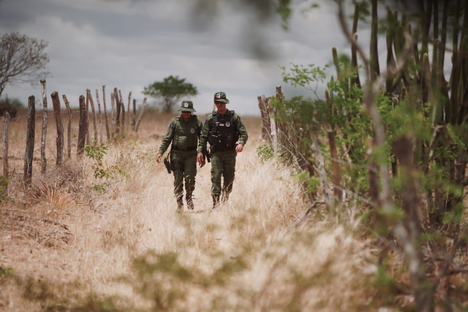 WhatsApp Image 2023-12-11 at 13.50.47