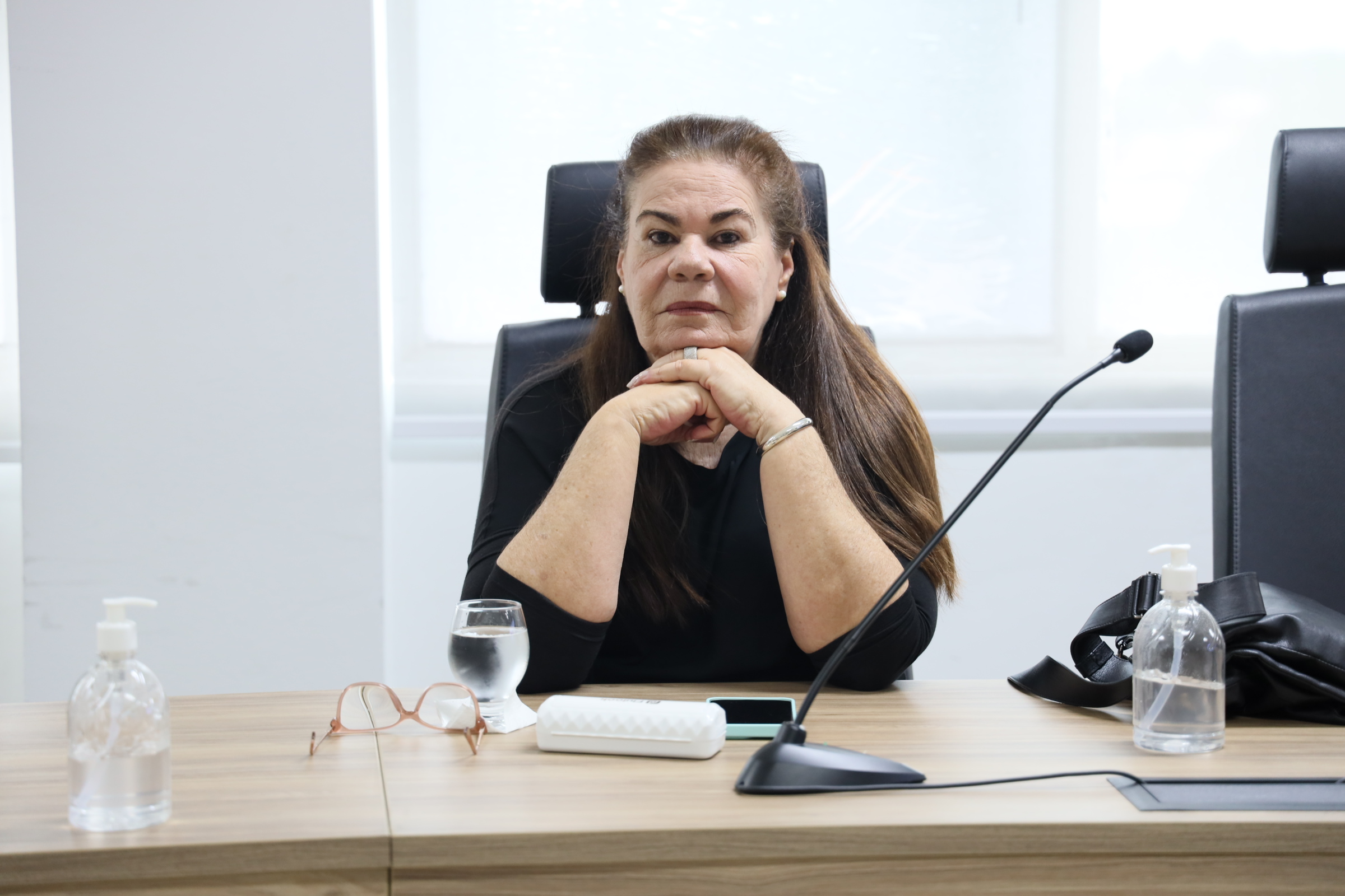 Reunião do Conselho (13)