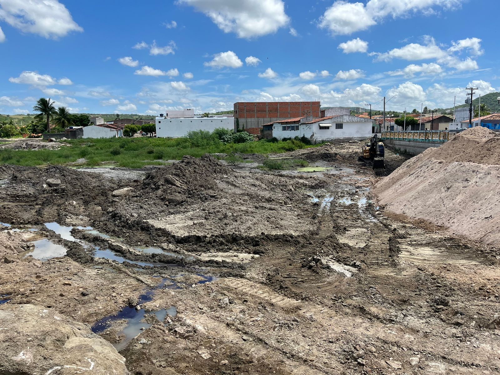 WhatsApp Image 2024-03-12 at 12.58.46