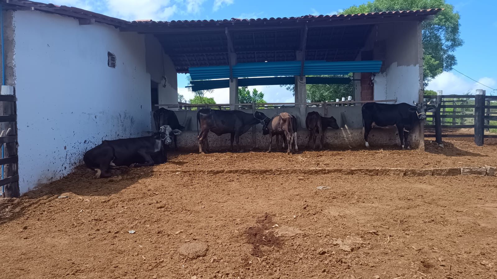 WhatsApp Image 2024-03-12 at 13.03.06