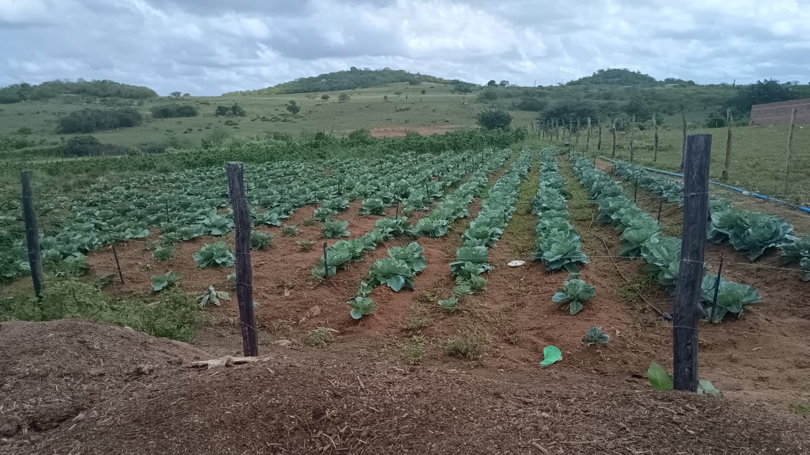 WhatsApp Image 2024-03-12 at 13.03.10 (1)