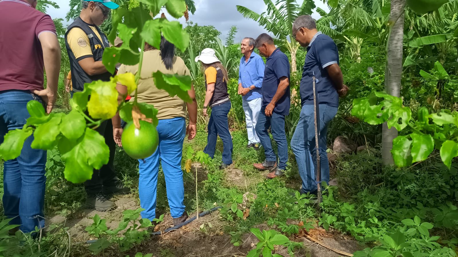 WhatsApp Image 2024-03-12 at 13.03.11