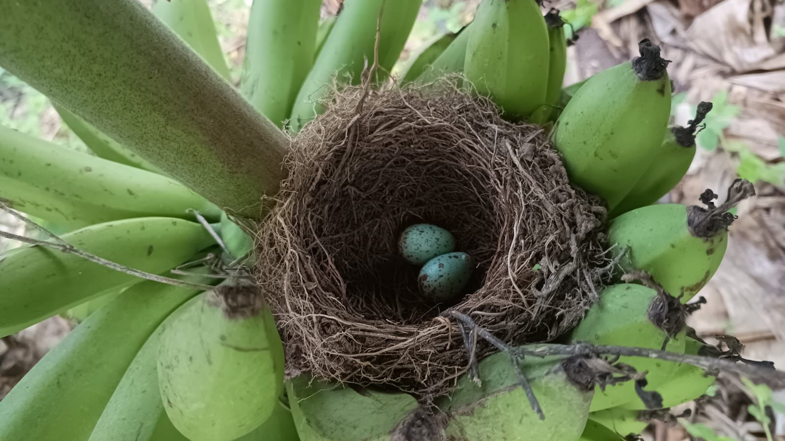 WhatsApp Image 2024-03-12 at 13.03.12 (1)