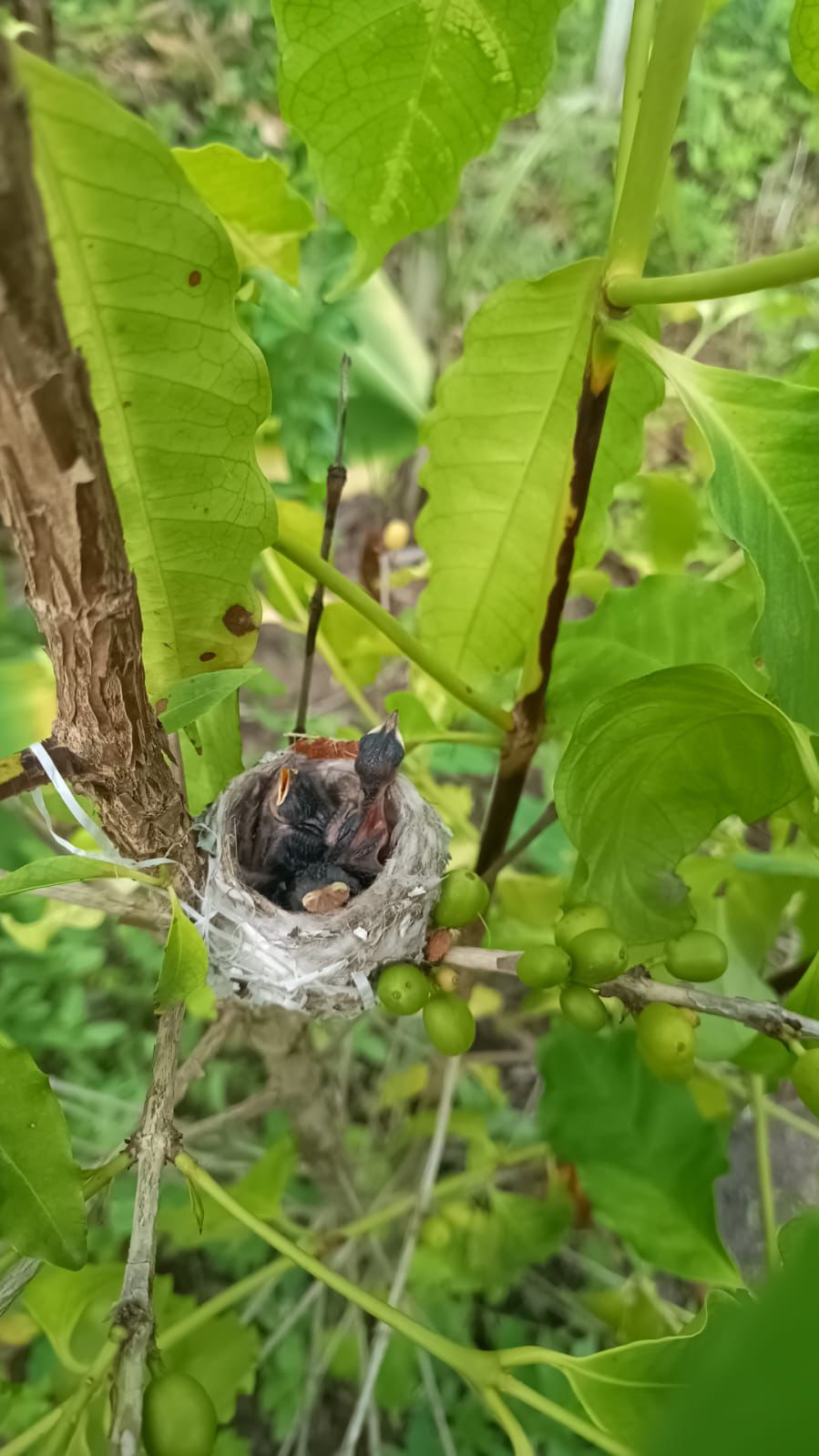 WhatsApp Image 2024-03-12 at 13.03.12