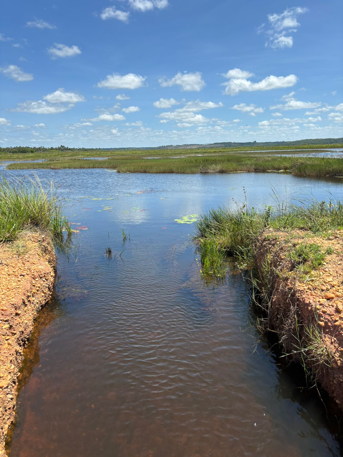 WhatsApp Image 2024-03-21 at 10.13.32 (1)