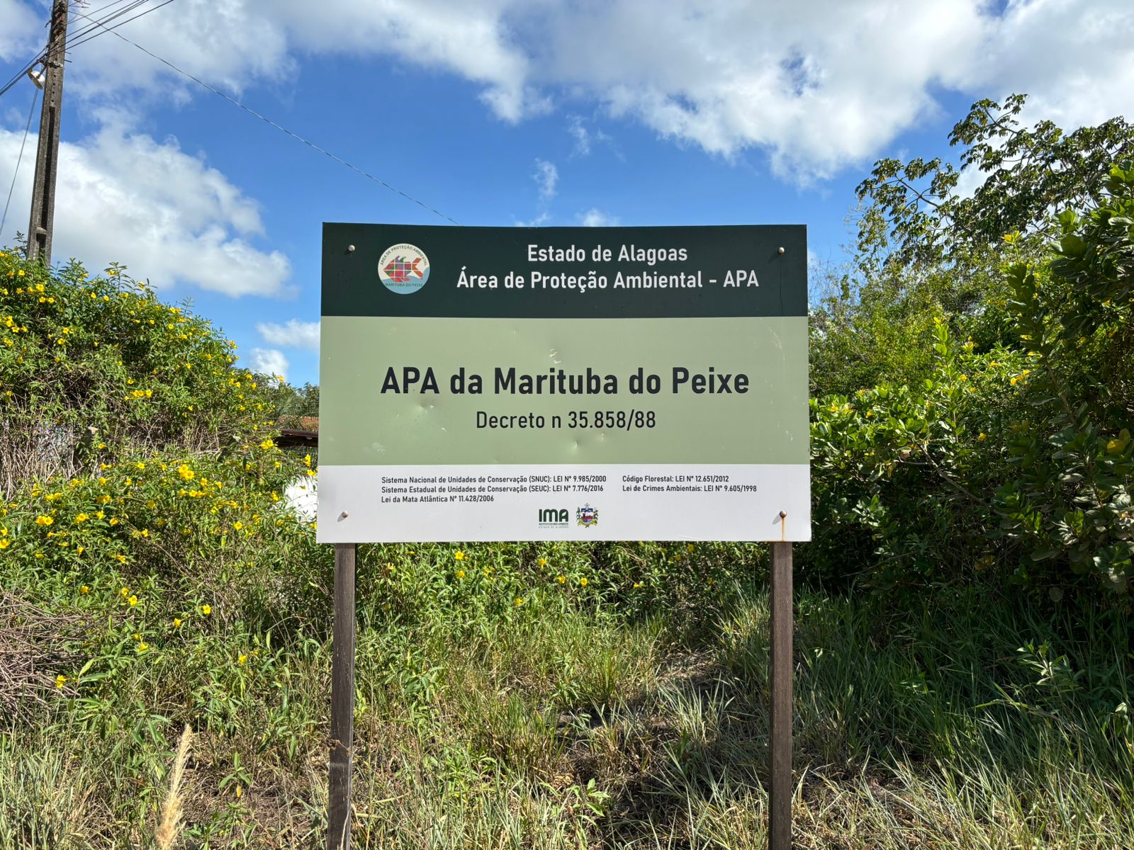 WhatsApp Image 2024-03-21 at 10.13.33 (2)