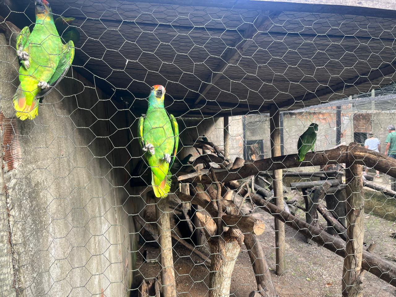 WhatsApp Image 2024-04-22 at 16.00.05