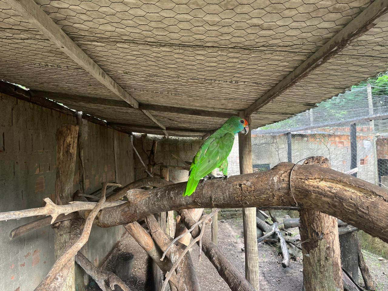 WhatsApp Image 2024-04-22 at 16.00.06