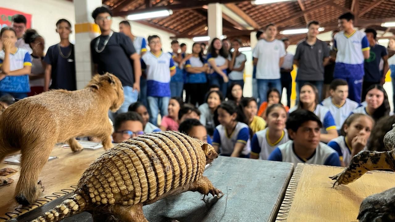 7ee1224b-5abb-47ba-ac9c-27548d5e596d