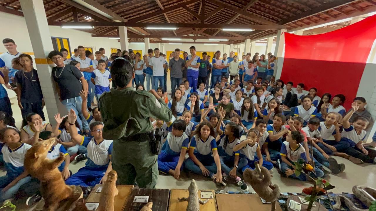 843bd7e8-a352-45f8-8793-1e95dbaa2a3c