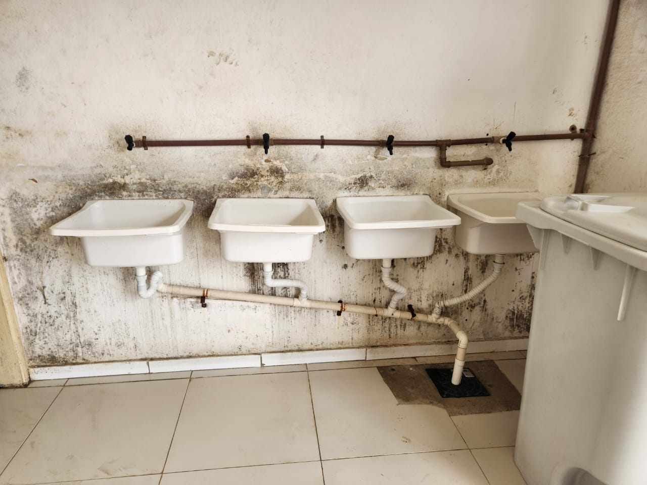 WhatsApp Image 2024-06-13 at 12.24.57 (3)