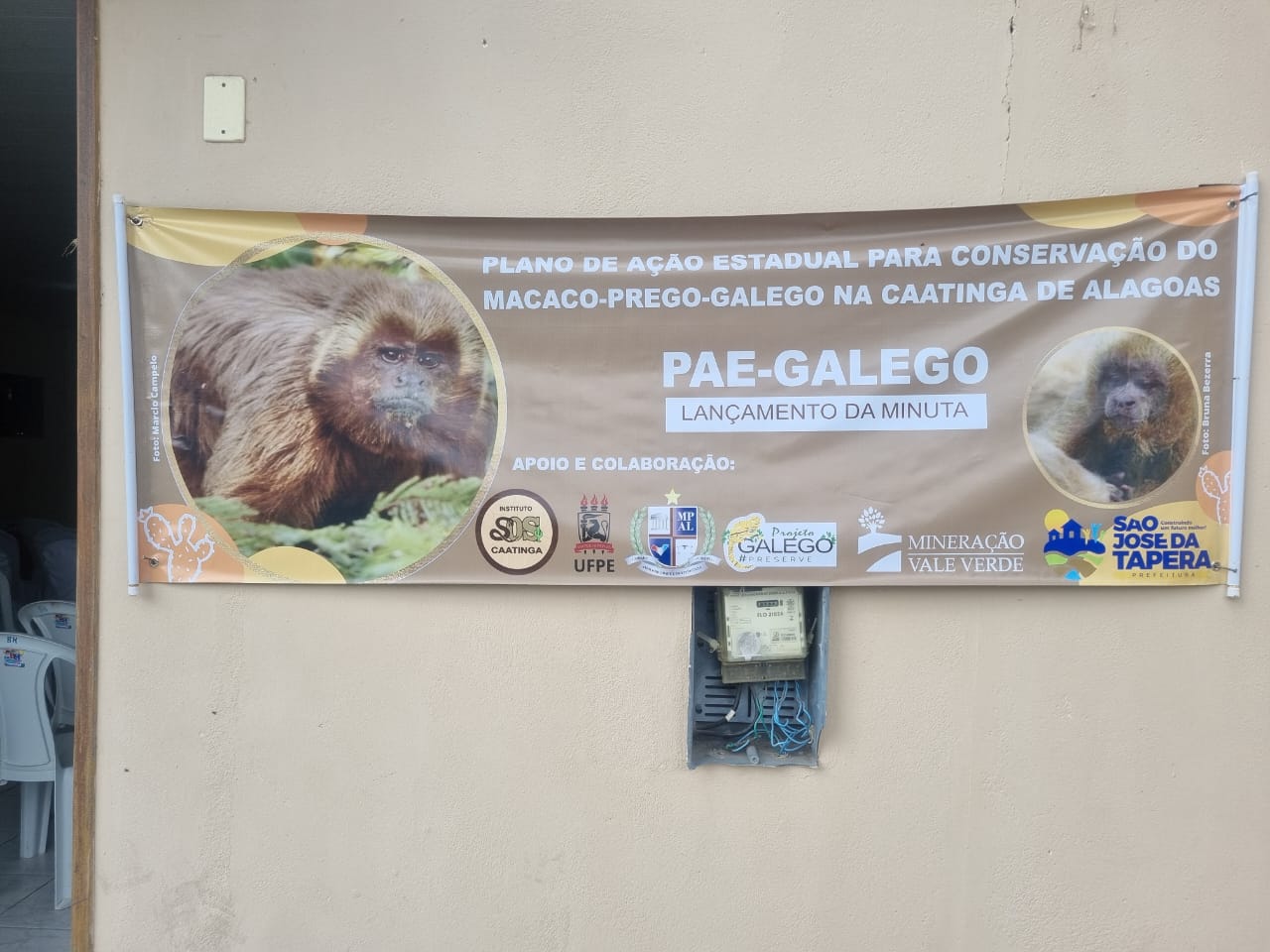 WhatsApp Image 2024-06-14 at 09.40.14