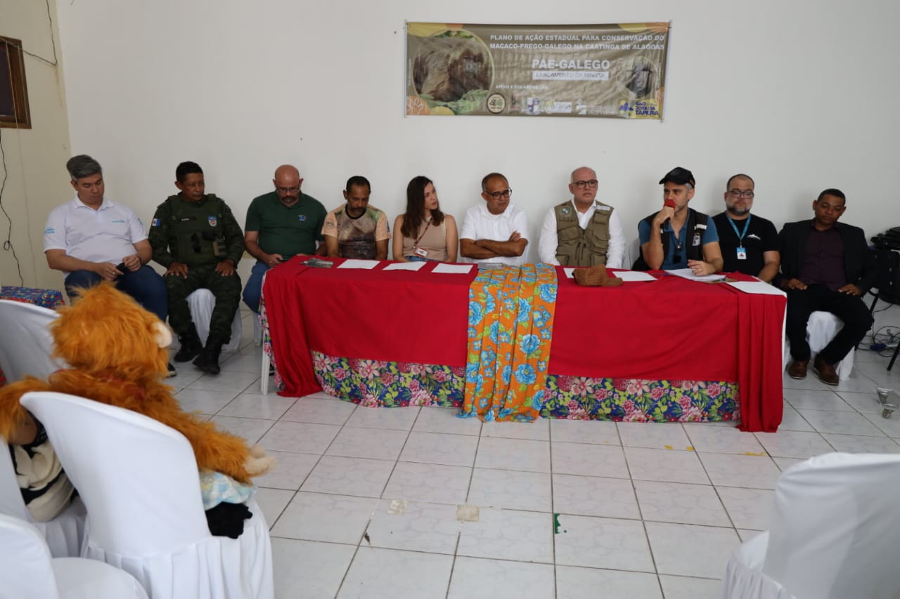 WhatsApp Image 2024-06-14 at 11.24.18