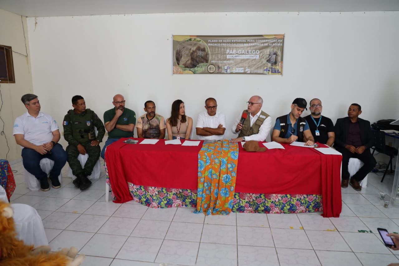 WhatsApp Image 2024-06-14 at 11.24.21 (1)