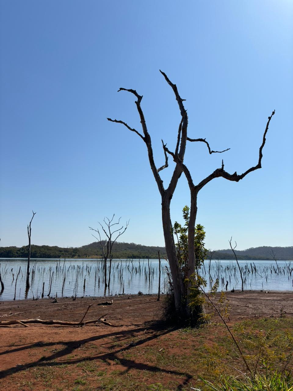 WhatsApp Image 2024-08-16 at 11.31.04