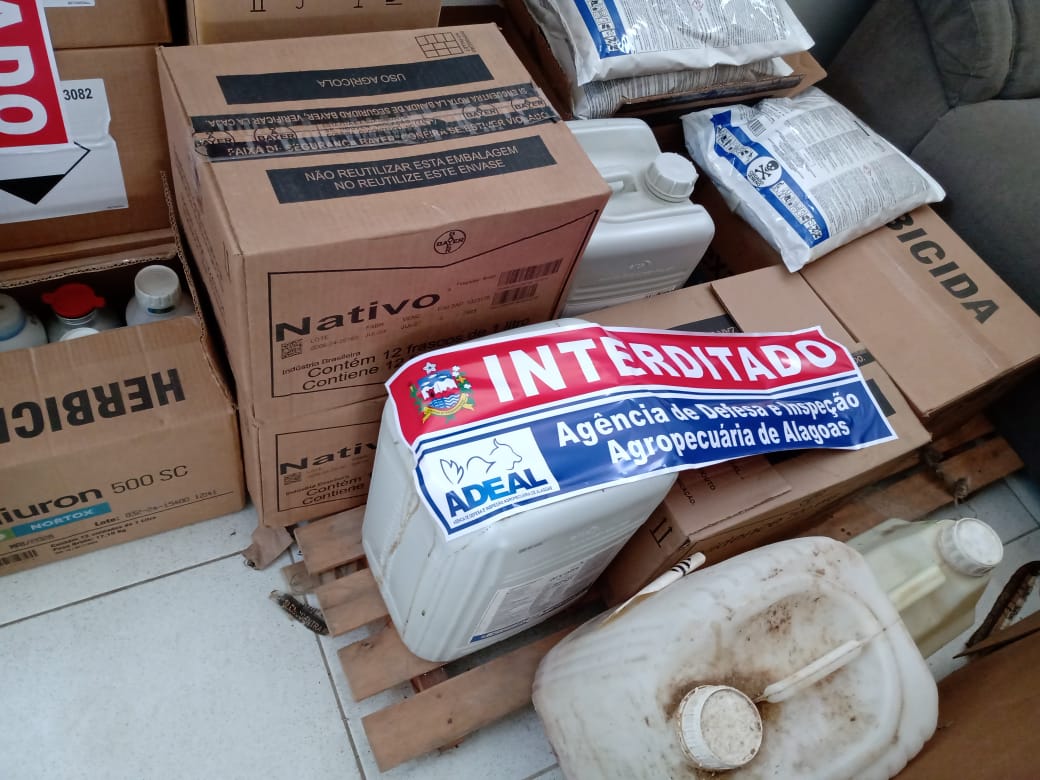 Imagem do WhatsApp de 2024-11-18 à(s) 11.56.54_47d4fa9c