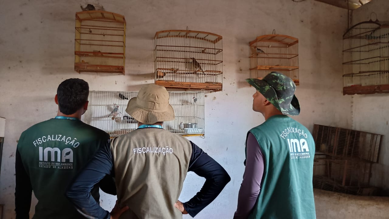 Imagem do WhatsApp de 2024-11-18 à(s) 14.03.26_12d01094