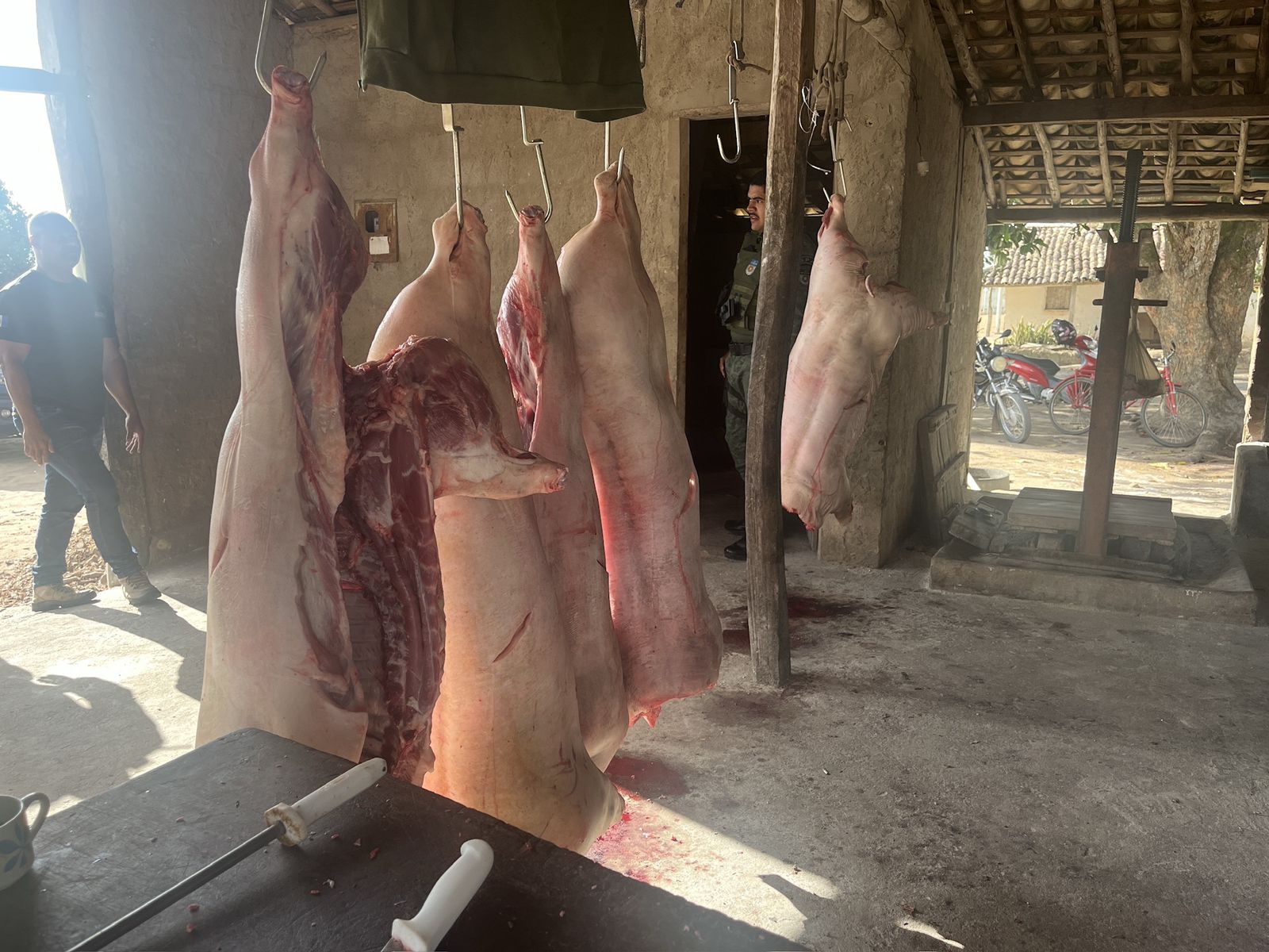 Imagem do WhatsApp de 2024-11-19 à(s) 10.02.18_58fb1832