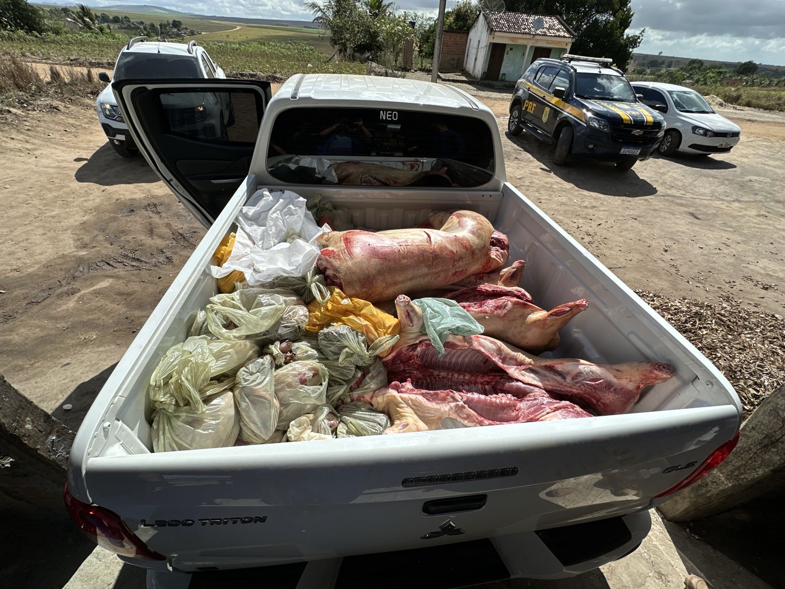 Imagem do WhatsApp de 2024-11-19 à(s) 10.02.19_75e5a215