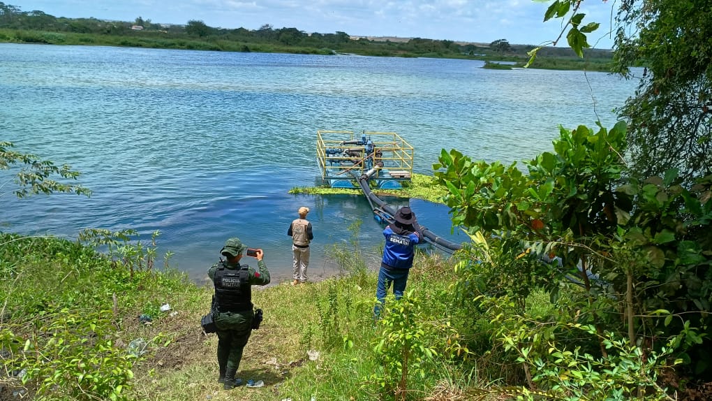 Imagem do WhatsApp de 2024-11-19 à(s) 15.02.08_0a3669b6