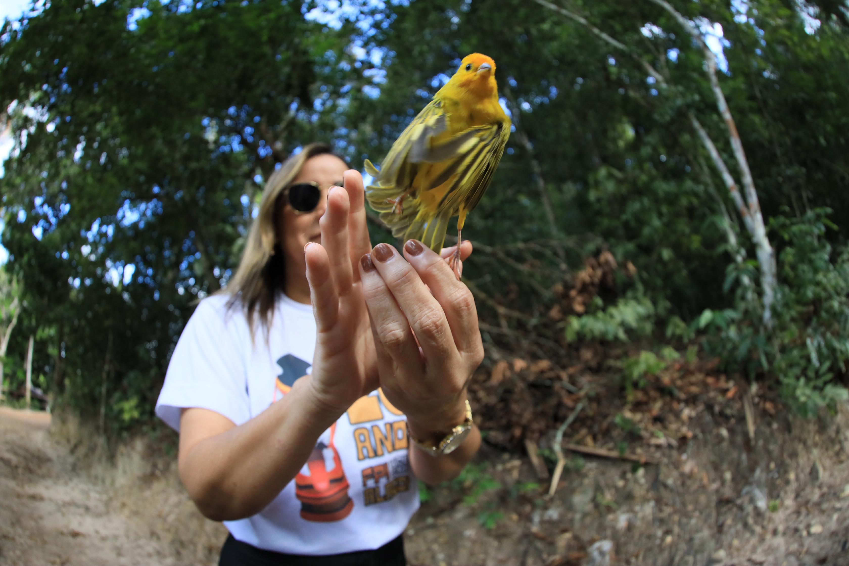 Imagem do WhatsApp de 2024-11-20 à(s) 10.25.53_494917b8