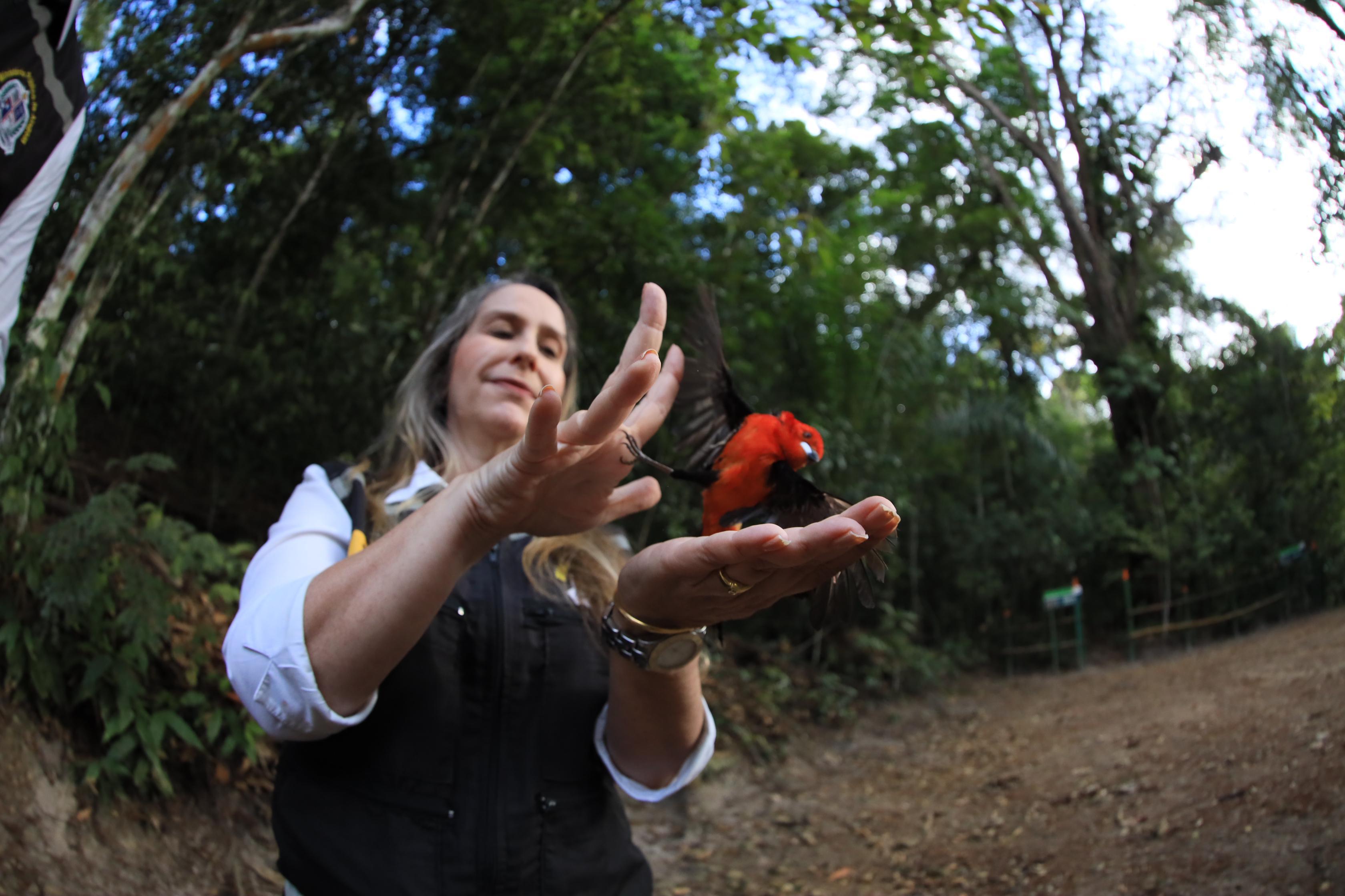 Imagem do WhatsApp de 2024-11-20 à(s) 10.25.54_4baa0812