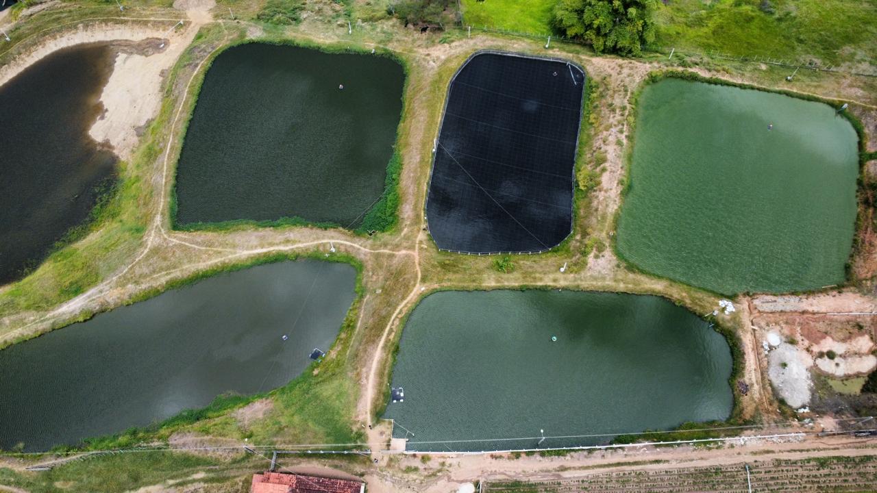 Imagem do WhatsApp de 2024-11-21 à(s) 15.02.11_33c19dfe