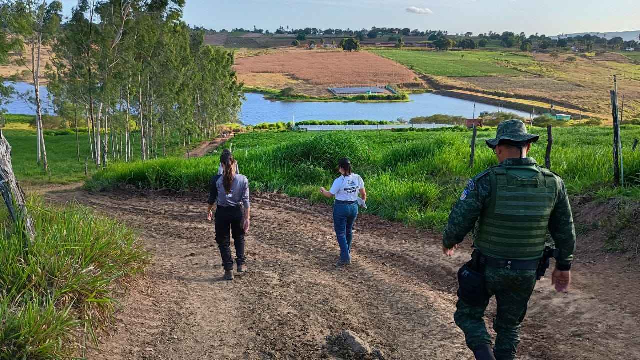 Imagem do WhatsApp de 2024-11-21 à(s) 15.03.51_4925cf55