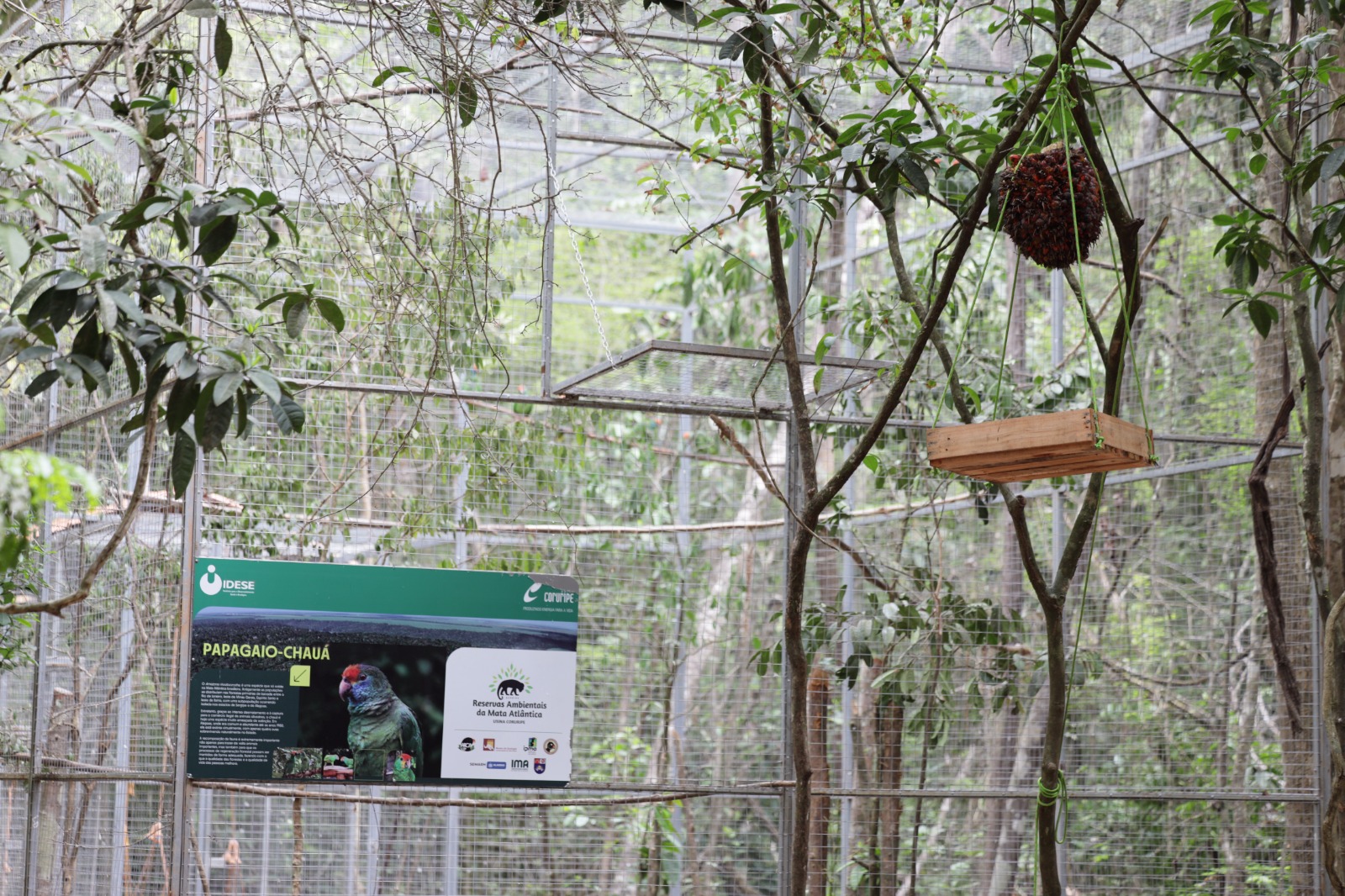 WhatsApp Image 2025-01-29 at 15.42.39 (10)