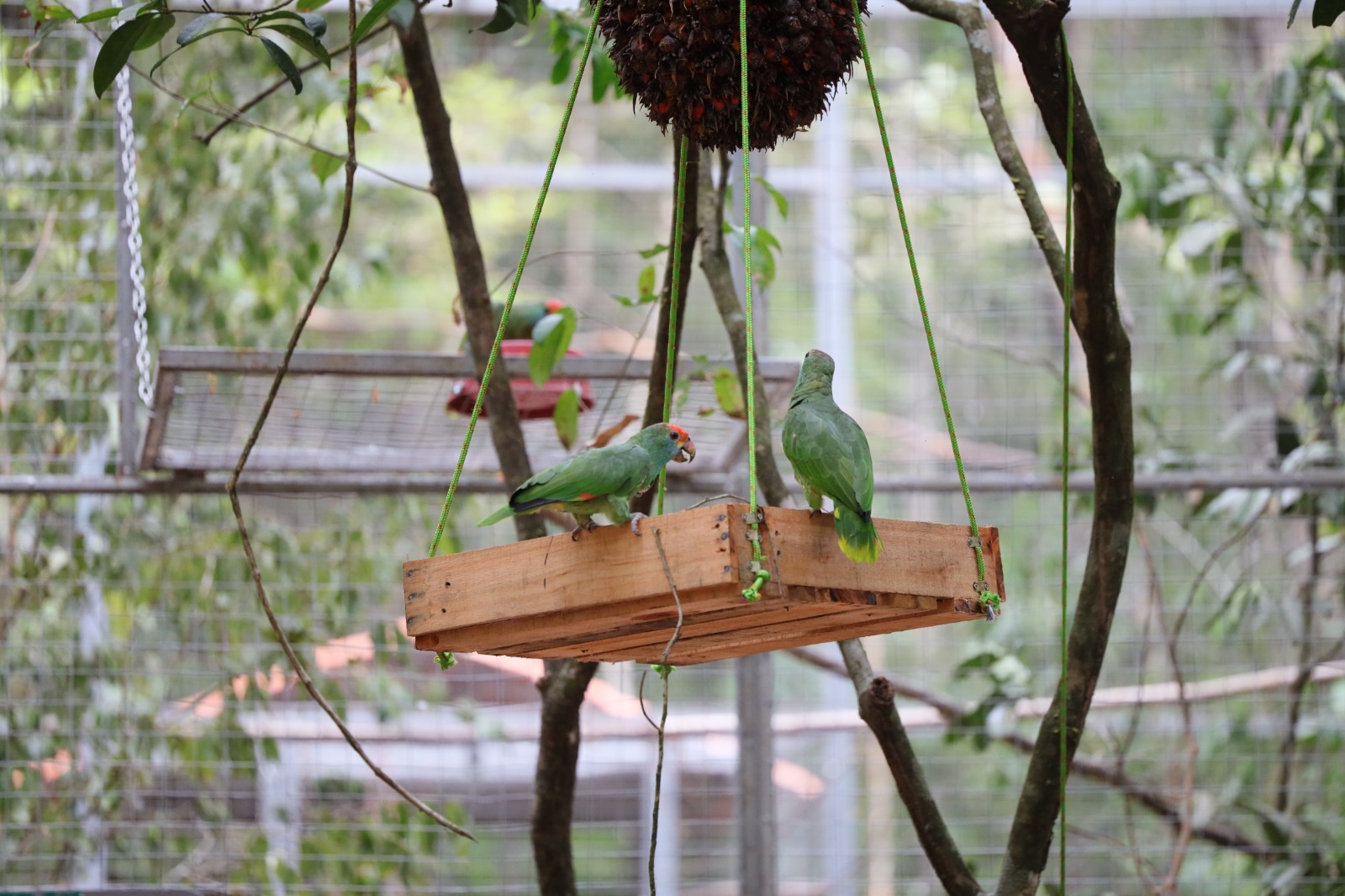 WhatsApp Image 2025-01-29 at 15.42.39 (2)