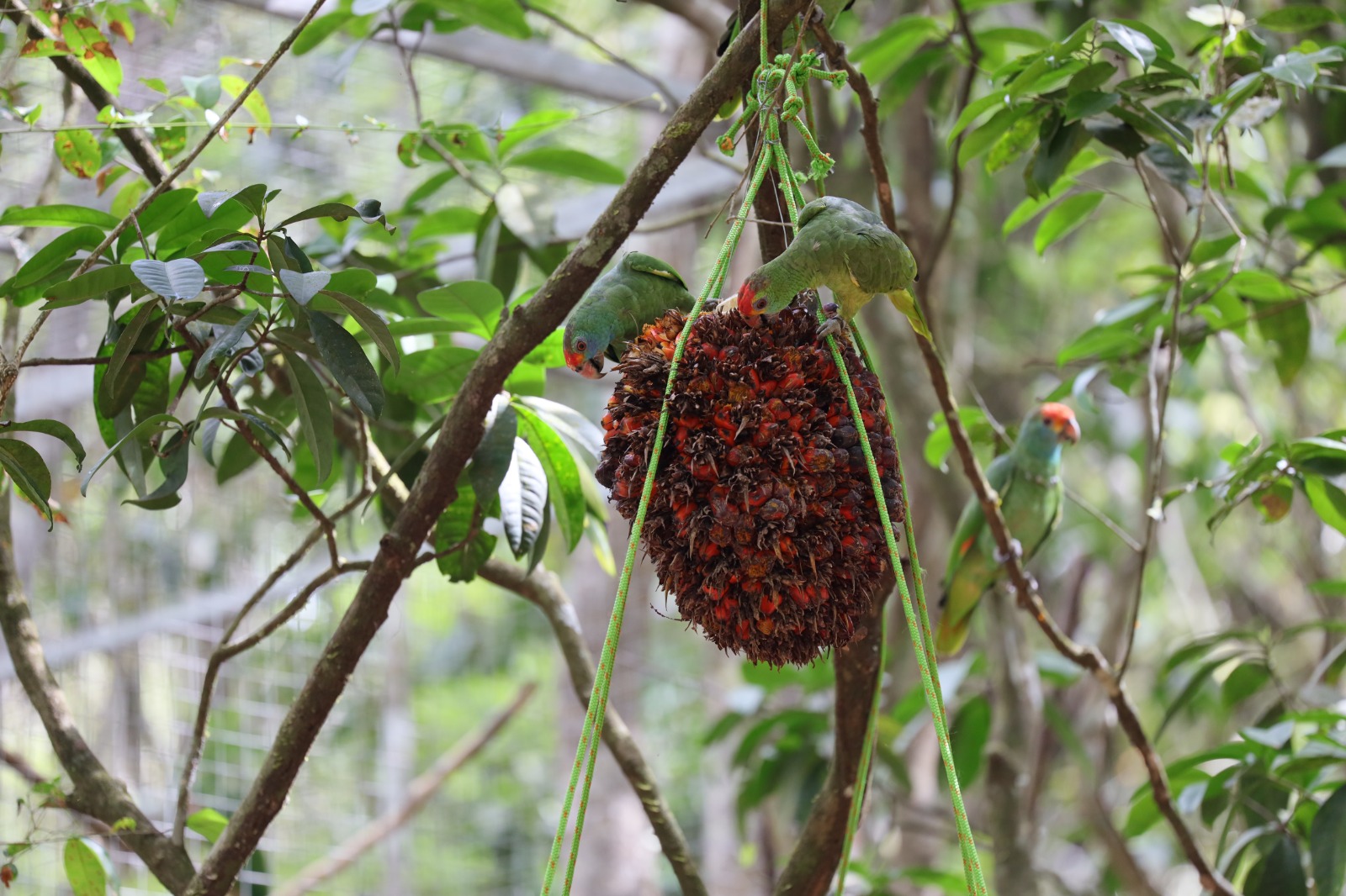 WhatsApp Image 2025-01-29 at 15.42.39 (4)