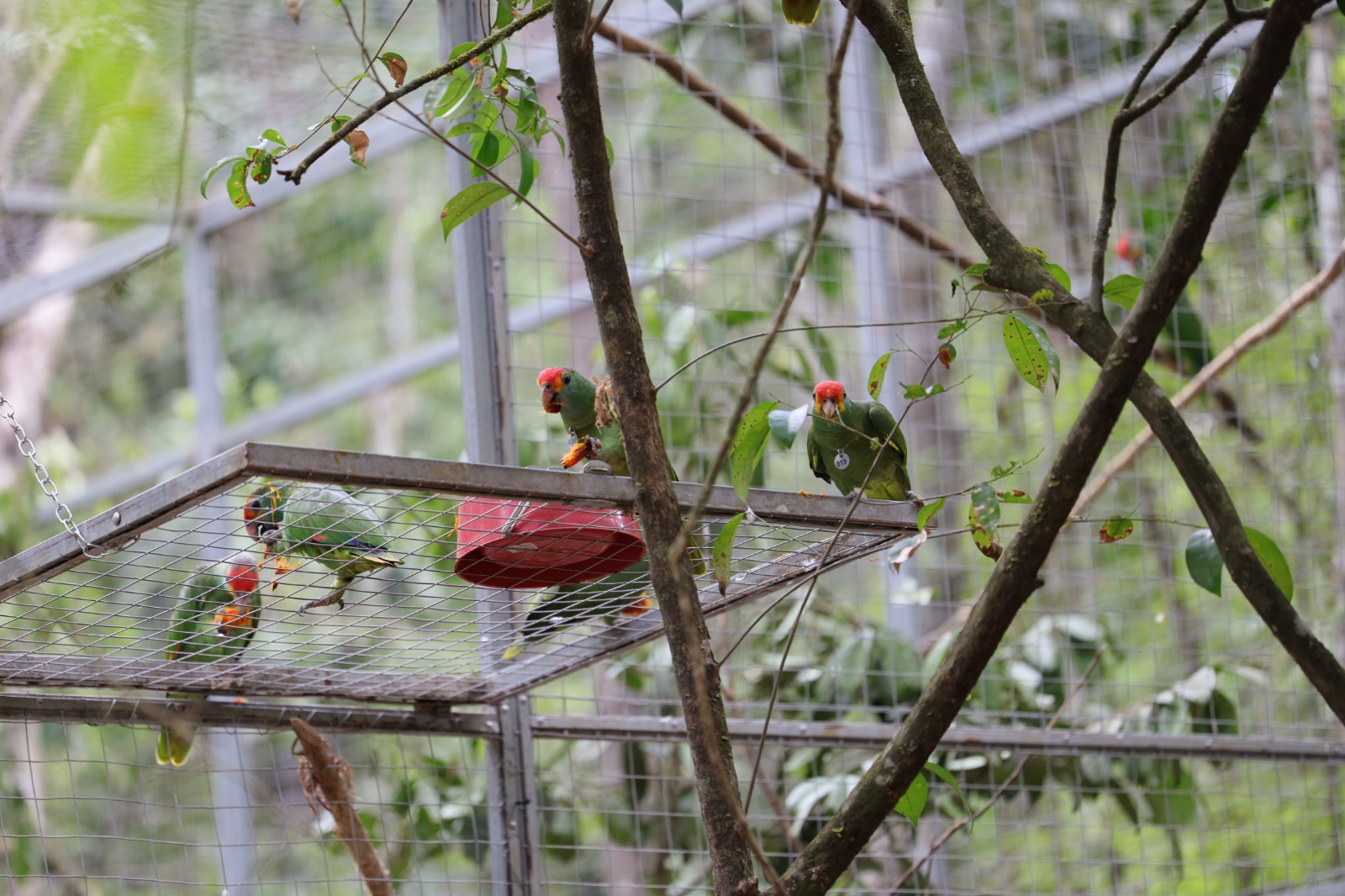 WhatsApp Image 2025-01-29 at 15.42.39 (5)