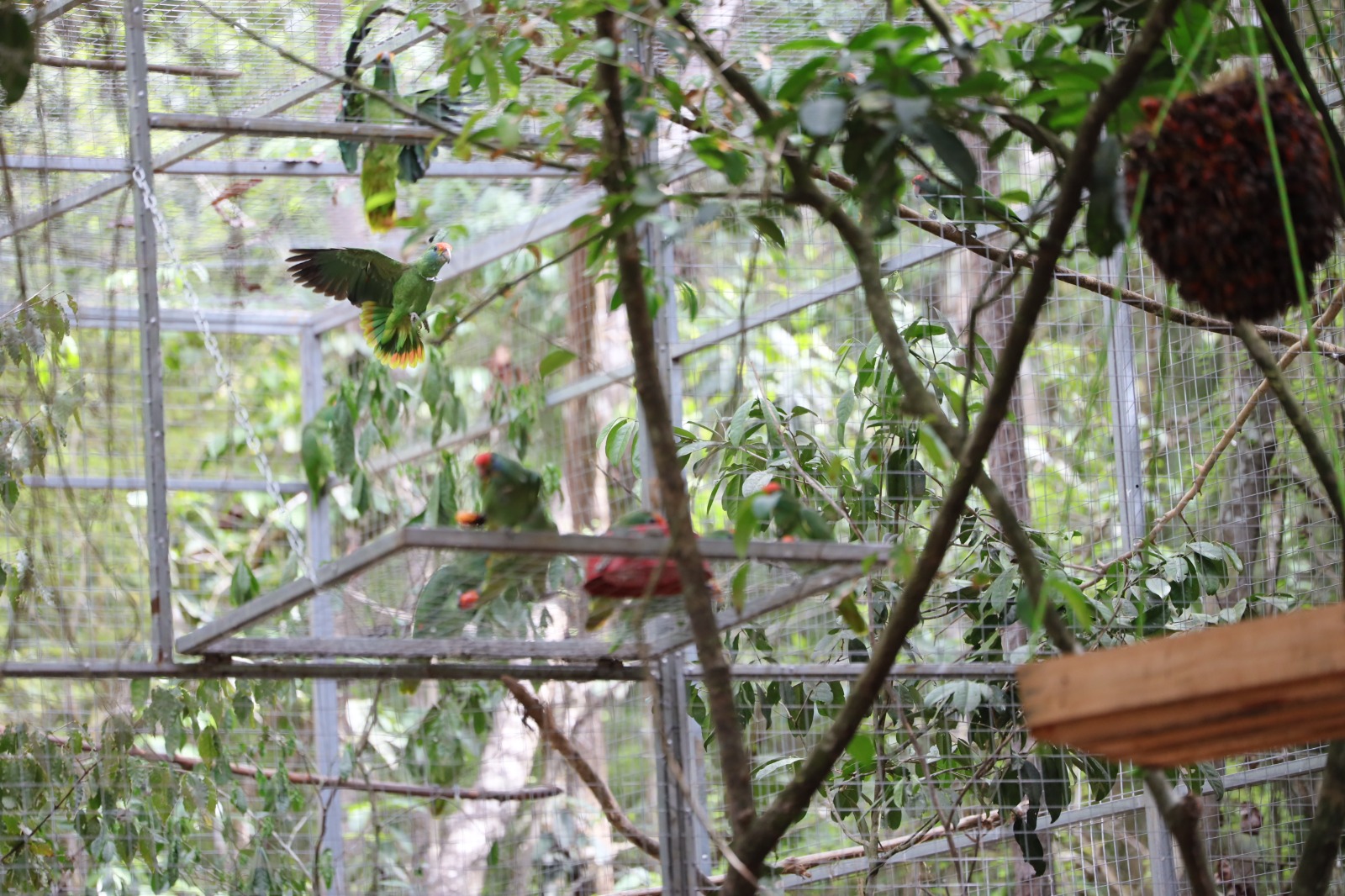 WhatsApp Image 2025-01-29 at 15.42.39 (6)