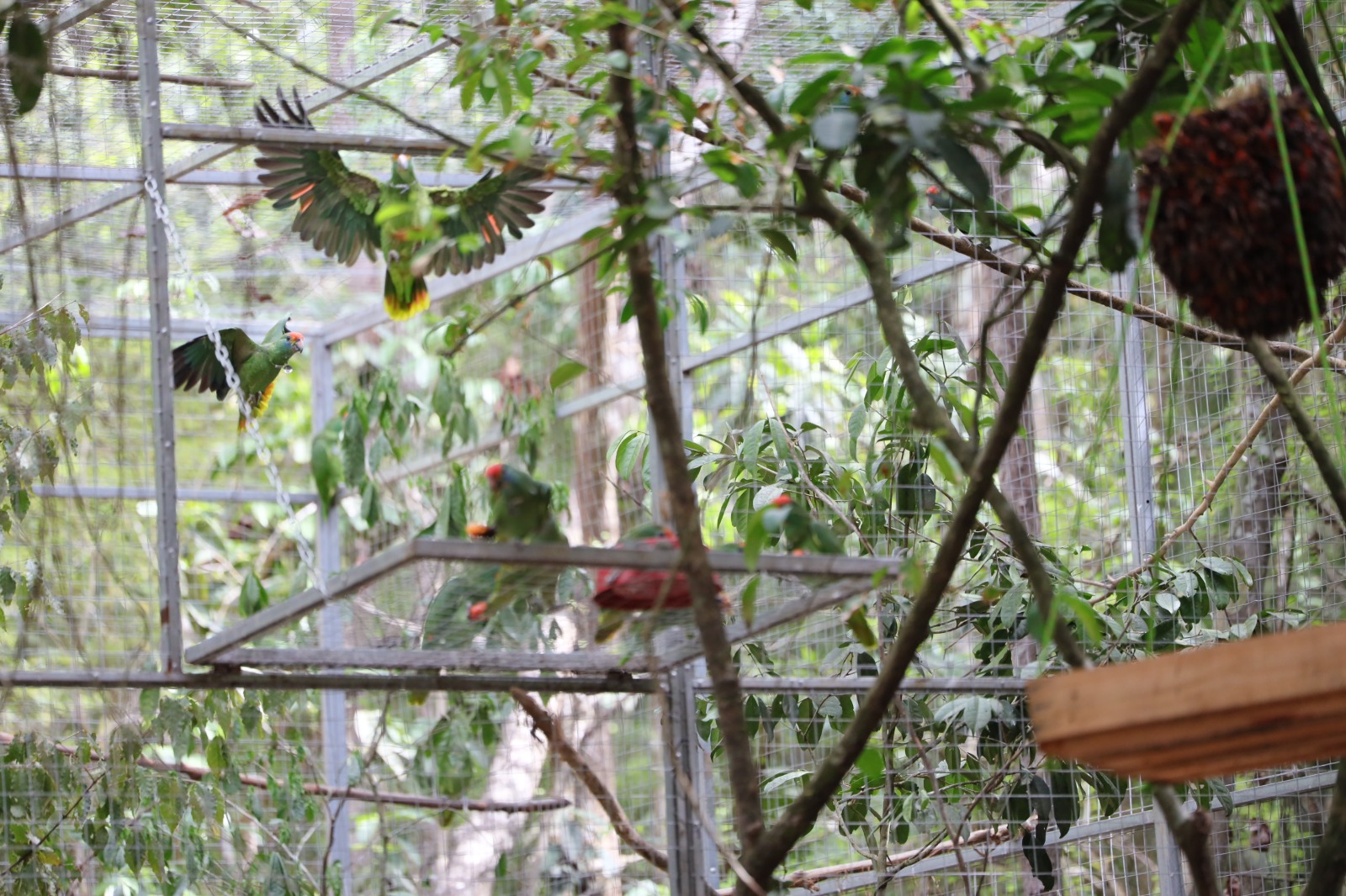 WhatsApp Image 2025-01-29 at 15.42.39 (7)