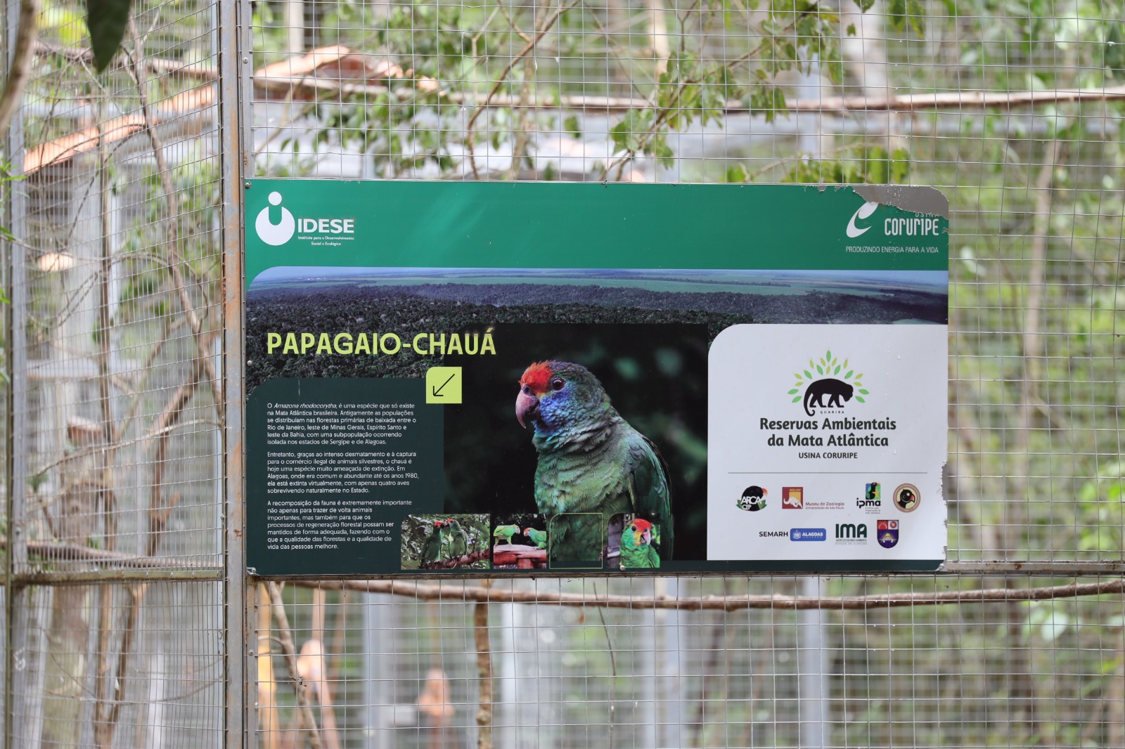 WhatsApp Image 2025-01-29 at 15.42.39 (9)