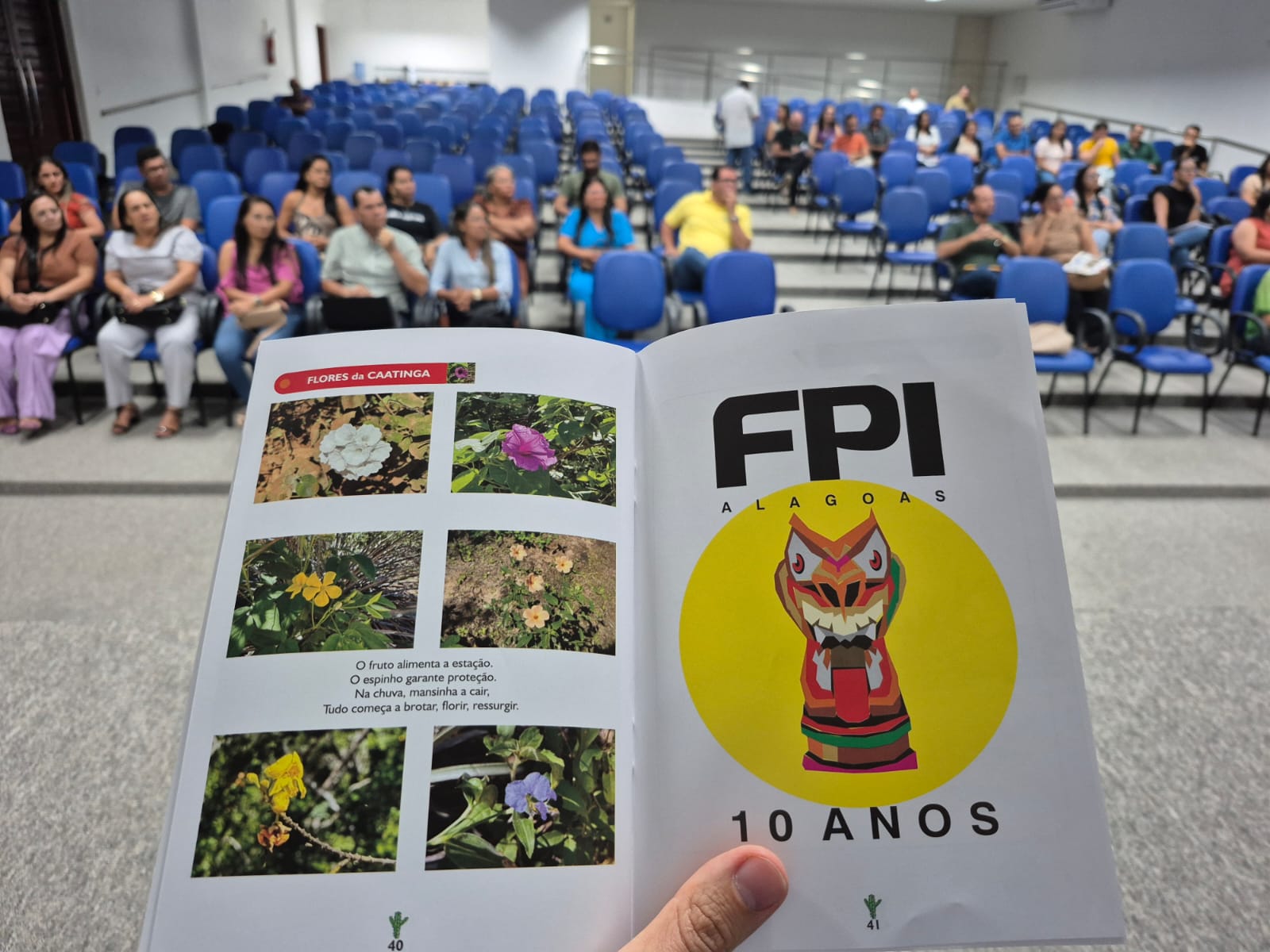 Imagem do WhatsApp de 2025-02-04 à(s) 11.34.30_69316ac1