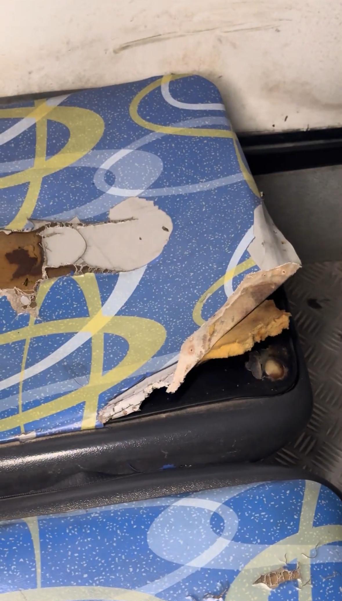 WhatsApp Image 2025-03-20 at 12.05.31 (1)