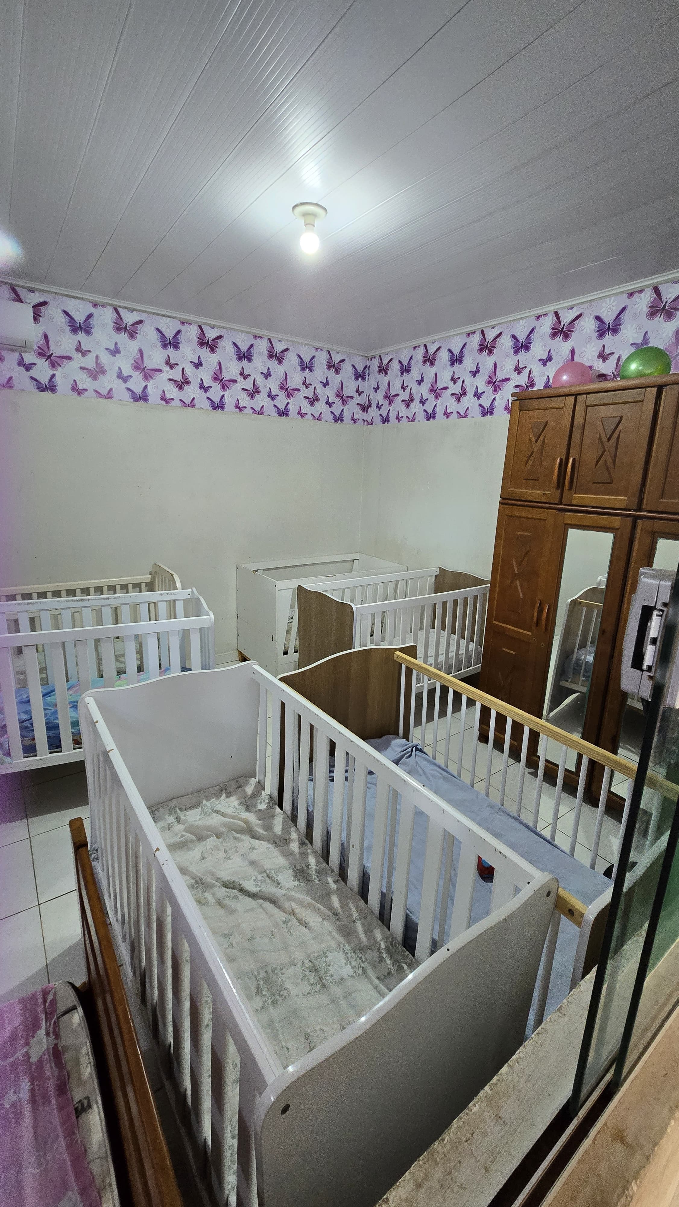 WhatsApp Image 2025-03-24 at 14.31.25