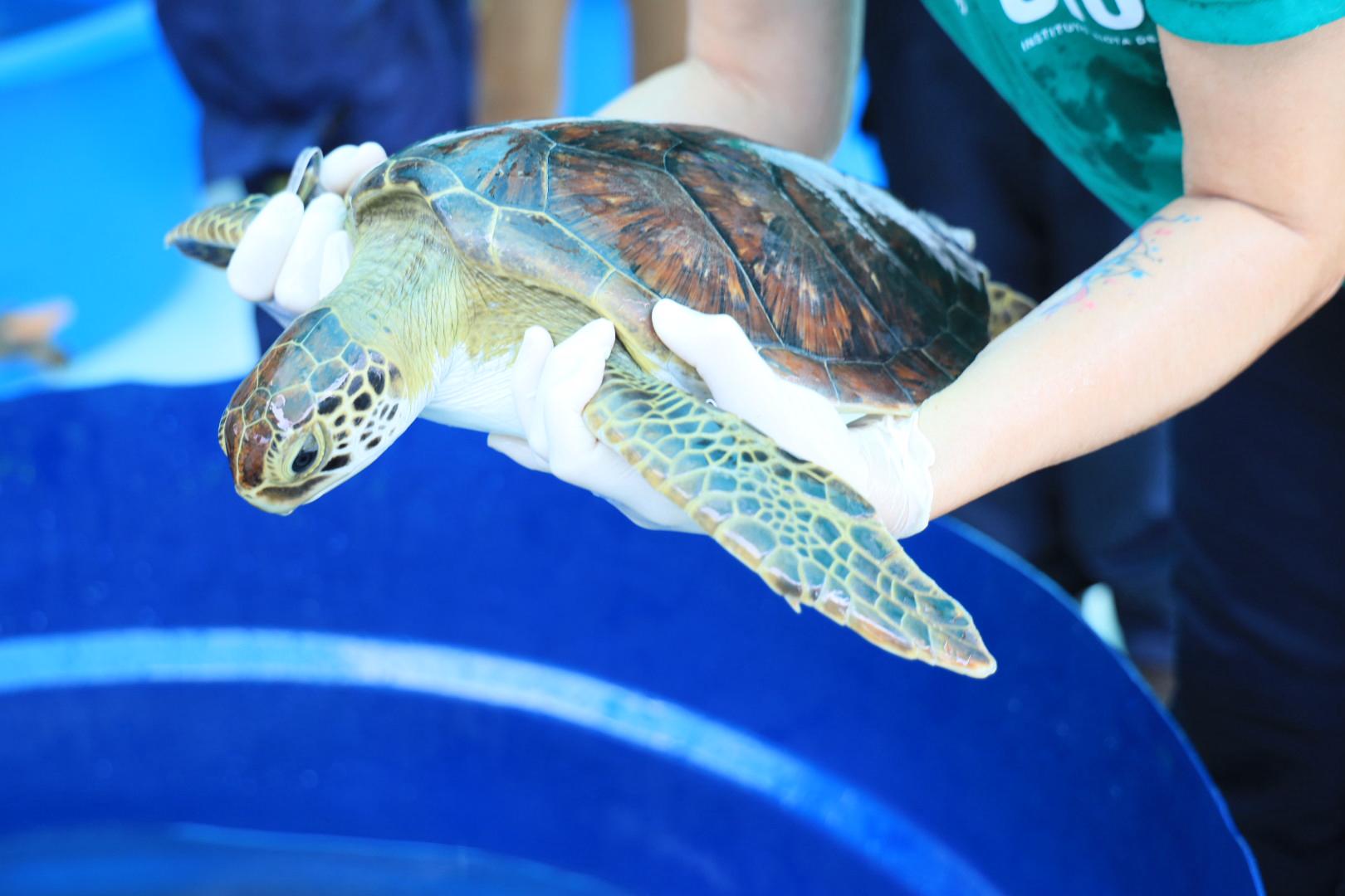 0bdfb4db-e839-47cd-bab3-5d9d9579b320