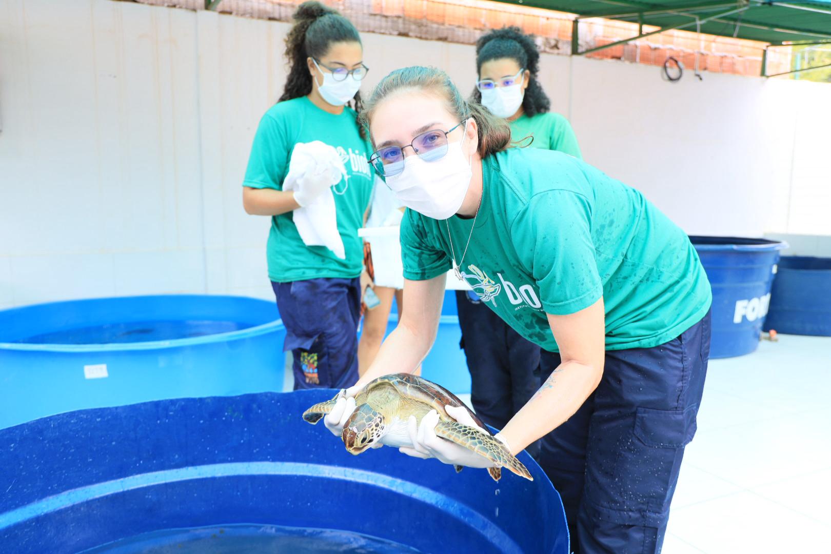 6dc382d4-966e-4497-8f27-1a682e3a1e65