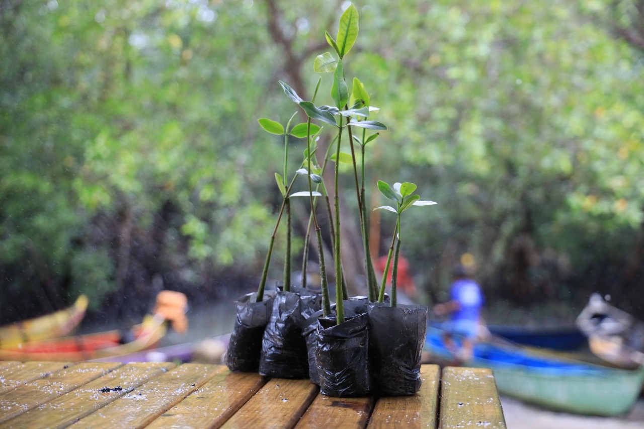 WhatsApp Image 2025-07-28 at 11.59.06 (2)