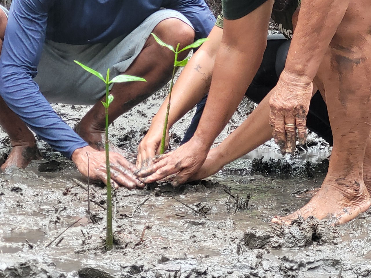 WhatsApp Image 2025-07-28 at 12.15.08 (1)